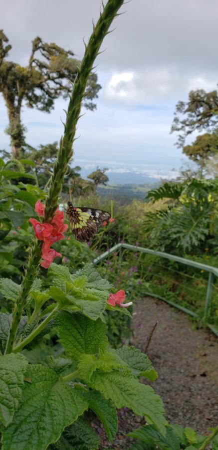 Casa El Granero Monteverde Exteriör bild